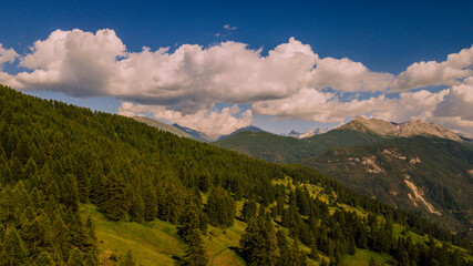 Vue sur la foret et la montagne