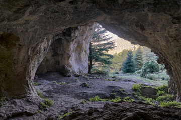 Water cave in the Pinsapos Forest (Abies Pinsapo) in the Yunquera pinsapar of the Sierra de las...