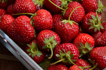 Strawberries in the glass bowl. Freshly picked strawberry. Organic sweet berries. Village garden harvest.