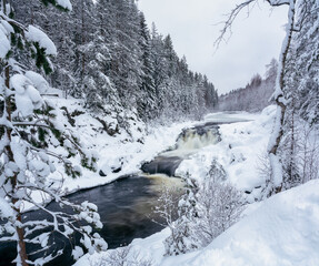 Kivach - waterfall in Karelia, Russia. Winter and snowy forest, january.