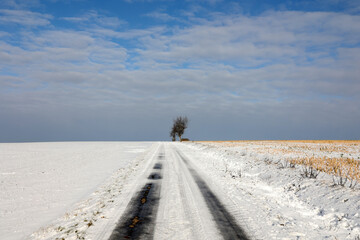 Winter landscape with snowy fields and blue sky