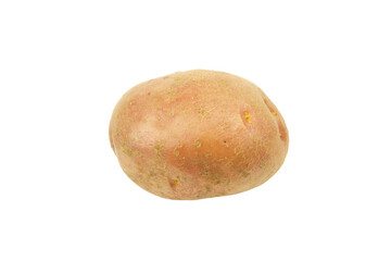 One potato isolated on a white background.