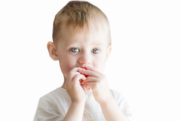 A little boy of three years old eats strawberries on a white background.