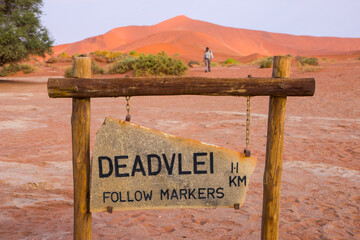 Deadvlei, Sossus Vlei, Desierto Namib, Namibia,  Africa