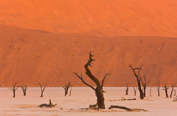 Valle Muerte Sossus Vlei Desierto Namib Namibia Africa
