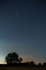 Fototapeta na wymiar Comet Neowise over Germany