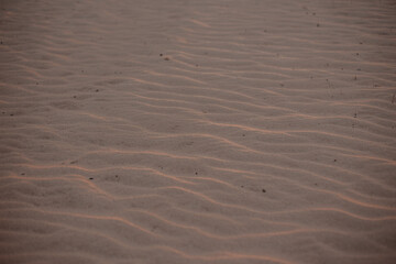 textured desert sand