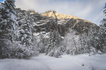 Winter landscape in the nature: Footpath, snowy trees and blue sky