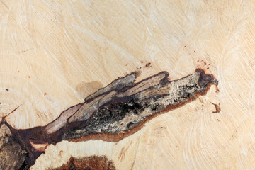 Abstract grunge on wood texture.