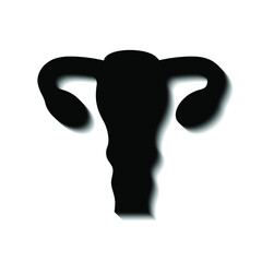 Female vagina and shadow, black on a white background, sign for design, vector illustration