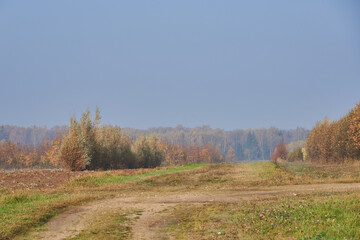 Fototapeta premium Autumn landscape. Dirt road in the fields, going into the forest.