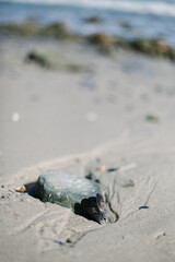 Close up of sand, rocks and seashells on the beach