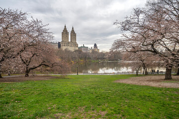 Central Park, New York City at the lake