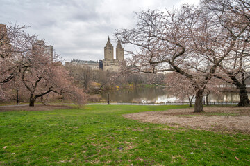Obraz premium Central Park, New York City at the lake