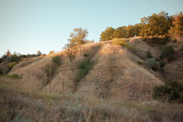 Fototapeta na wymiar hills in the yellow grass