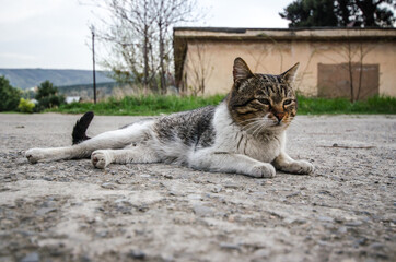 beautiful pictures from Georgia