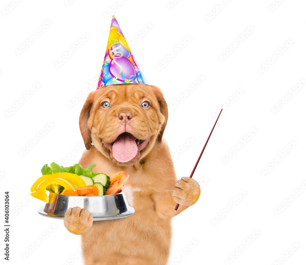 Aufkleber happy puppy wearing party's hat holds bowl of vegetables and points away on empty space. isolated on