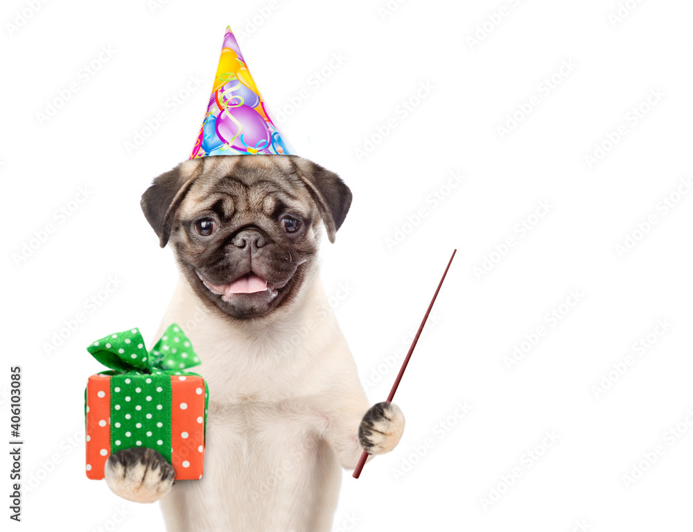 Poster pug puppy wearing party cap holds gift box and points away on empty space. isolated on white backgro