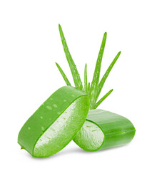 Aloe vera slice on white background.