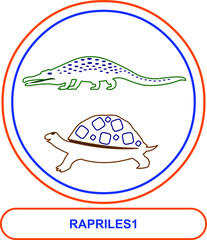 illustration of a turtle