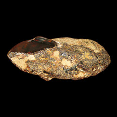 amber form Dominican Republic on black background 