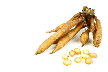 Boesenbergia rotunda, Finger root, Chinese ginger ingredient for cooking Thai cuisine isolated on white background. Herb plant is nutrition for protecting cancer.