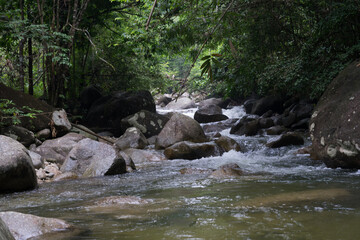 Naklejka na ściany i meble Amazing view of the rain forest stream or waterfall in Asia jungle.