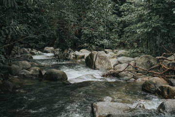 Naklejka na ściany i meble Amazing view of the rain forest stream or waterfall in Asia jungle.