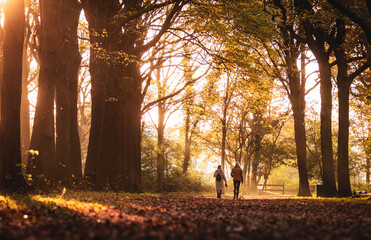 Sunset in the park. We see two women walking away from the camera whilst the sun shines through the...