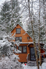 Wooden house with large windows in a snow-covered forest on a cloudy winter day.