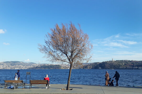 People fishing in the Bosphorus and people walking on the beach enjoy the sunny weather in Emirgan, Istanbul, Turkey, 10 January 2021