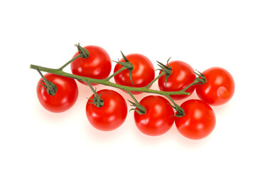 Ripe tomatoes on the branch