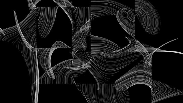 Sinuous Curve Abstract.
Frame fills with fine lines that curve around each other making a dense texture.
