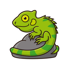 Young Iguana character sitting on rock cartoon isolated vector illustration for Iguana Awareness Day on September 8