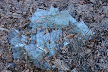 pile of rubbish from cusco broken dirty old glass in brown fallen leaves on nature
