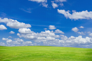 Green grass field on blue sky with cloud background. Green meadow under blue sky with clouds.