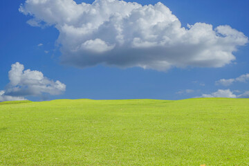 Green grass field on blue sky with cloud background. Green meadow under blue sky with clouds.