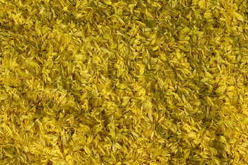 background of yellow wool