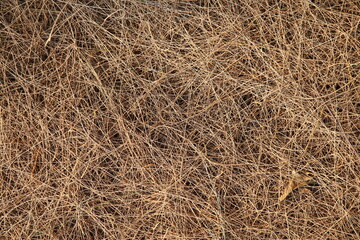 hay bale background