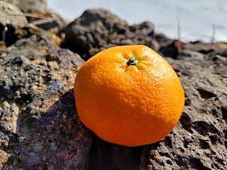 Red cent, red orange, Jeju red tangerine, 레드향, 제주레드향