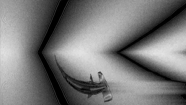 Fantastic glitch screensaver. Animated black and white shark screensaver.