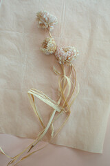  Tender dry ranunculus flowers on beige paper ,top view.