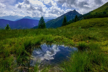 reflection in a little pond on a green meadow while hiking