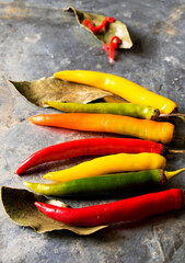 verschiedene peperoni schoten auf einem blech mit getrockneten lorbeerblättern