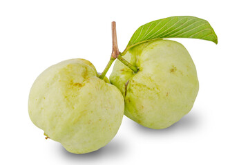Guava fruit with leaves isolated