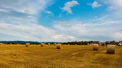 Autumn landscape with straw bales on harvested field and blue sky clouds in background