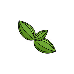 Fototapeta premium Basil Flat Icon
