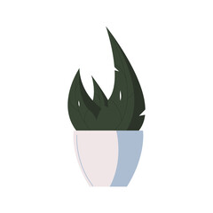 House Plant Icon