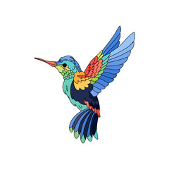 Humming Bird Illustration