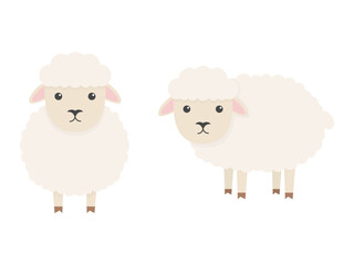 Cute sheep character. Cartoon farm animal. Vector illsutration isolated on white